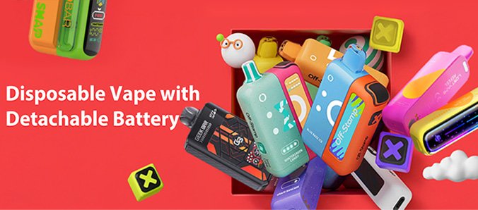 Disposable Vape with Detachable Battery