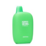 Flum Pebble Disposable Vape Menthol