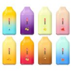 Top Shine Seraph Ultra Disposable Vape Kit 6500 Puffs 14ml