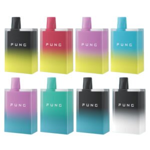 Fung ICE 6000 Puffs Disposable Vape Kit 12ml