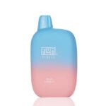 Flum Pebble 6000 Puffs (1)