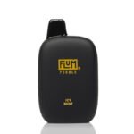 Flum Pebble 6000 Puffs (2)