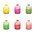 Niko Bar Disposable Vape Kit 6000 Puffs 13ml