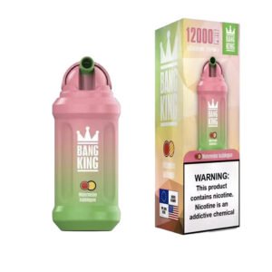 Bang King 12000 Puffs Disposable Vape 23ml