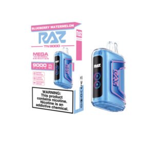 RAZ Vape TN9000 9000 Puffs Disposable-Blueberry Watermelon