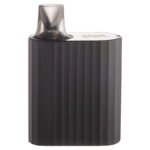 Black Dotmod Switch Nano