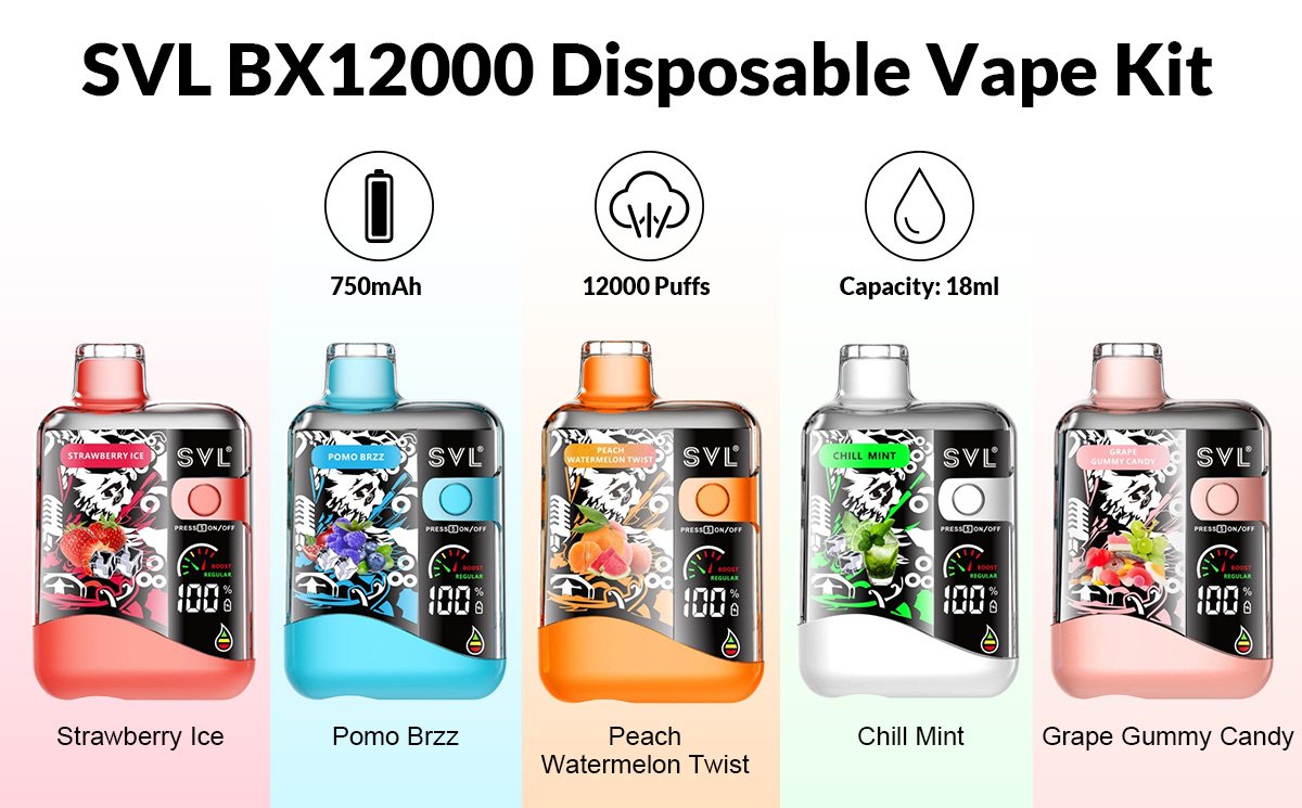 cheap SVL BX12000
