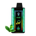 Miami Mint Kangvape Tc25k