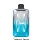 Caribbean Breeze Space Max Glow