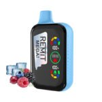Frozen Mixed Berry Ice Remit Mega 18000