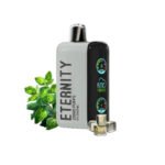 Ice Mint Fume Eternity