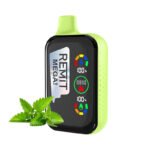 Mint Remit Mega 18000
