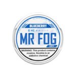 Mr Fog Dry Blueberry Nicotine Pouches (20 Pouches/Can)
