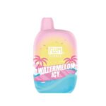 Watermelon Icy Flum Pebble