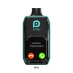 Mint Posh Pro Max 1