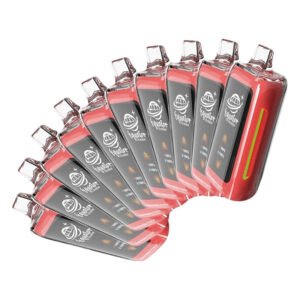 (10-PACK) Equator EQ30000 Disposable Vape