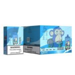 (10-PACK) RandM Digital Box 12000 Disposable Vape