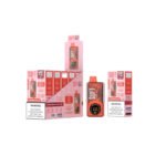 (10-PACK) SWFT Meta 30000 Disposable Vape