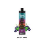 GRAPE MINT Randm Shisha Beast 20K