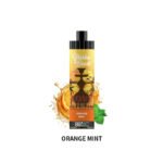 ORANGE MINT Randm Shisha Beast 20K