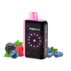 Blueberry Raspberry Geek Bar Meloso Bar