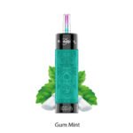 Gum Mint Olit Hookalit X