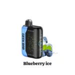 Blueberry Ice Geek Bar Pulse X 25K