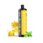 Shisha Lemon Mint Solobar Dtl25000