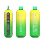 Miami Mint Wynn 50K