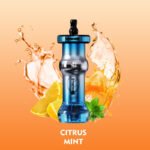 Citrus Mint Mosmo Sultan 50K
