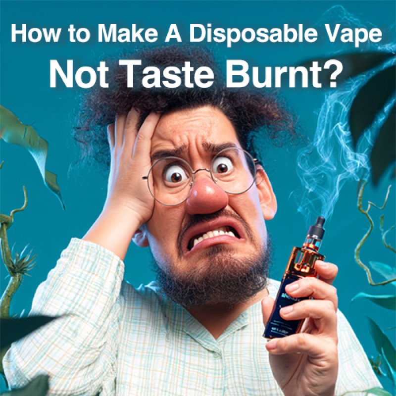How To Make A Disposable Vape Not Taste Burnt?
