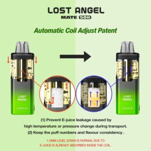 Lost Angel Mate 50K Disposable Vape 20ml 5% (50000 Puffs) - Image 3