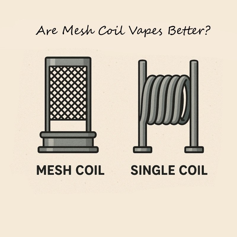 Are Mesh Coil Vapes Better?