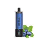 Blueberry Mint Shisha Hopo 50K