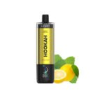 Lemon Mint Hopo 50K