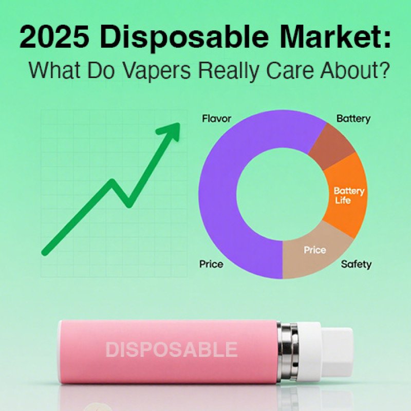 2025 Disposable Vape Market: What Do Vapers Really Care About?