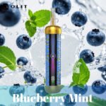 Blueberry Mint Olit Hookalit Pro 60K