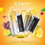 Blueberry Razz Lemon Kanger Subox Mate Kit