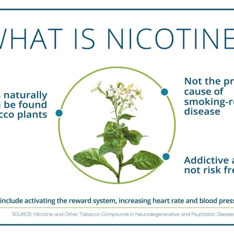 can you overdose on nicotine can you overdose on nicotine