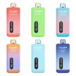 LOVMEE Love 30K Disposable Vape 5% (30000 Puffs)