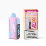 Pomegranate Blast Adjust Myrusher 40K