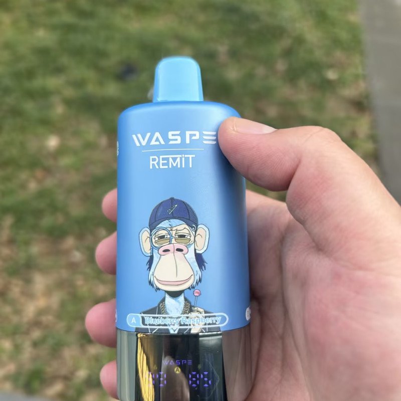 cheap waspe & remit 4-in-1 100k