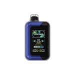 Blueberry Ice Spaceman Sp40000 20mg