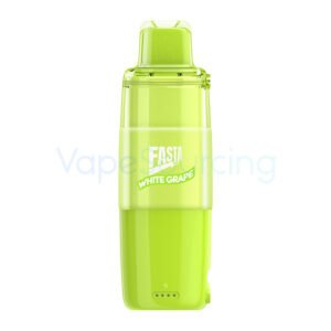 Fasta 40K Disposable Pod 20ml 5% (40000 Puffs) - Image 2