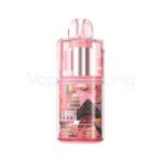 Charm Rosy Gk Kloud