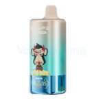 Juicy Peach Ice Waspe 4 In 1 10000 Kit 1