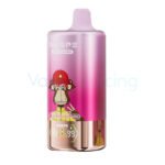 Strawberry Watermelon Waspe 4 In 1 10000 Kit 1