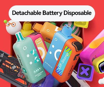 Disposable Vape with Detachable Battery